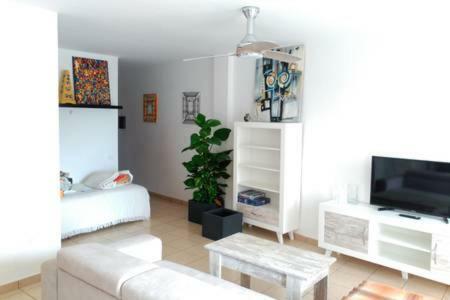 Teleworking Panoramablick Neuwertig Grosse Wohnung Los Realejos Exterior photo